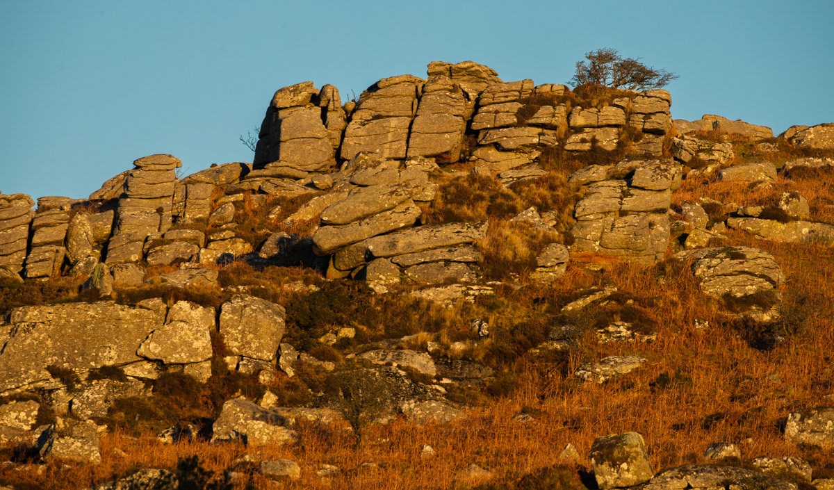 17 Jan 22: Golden light on Holwell Rocks, Dartmoor just before moonrise.