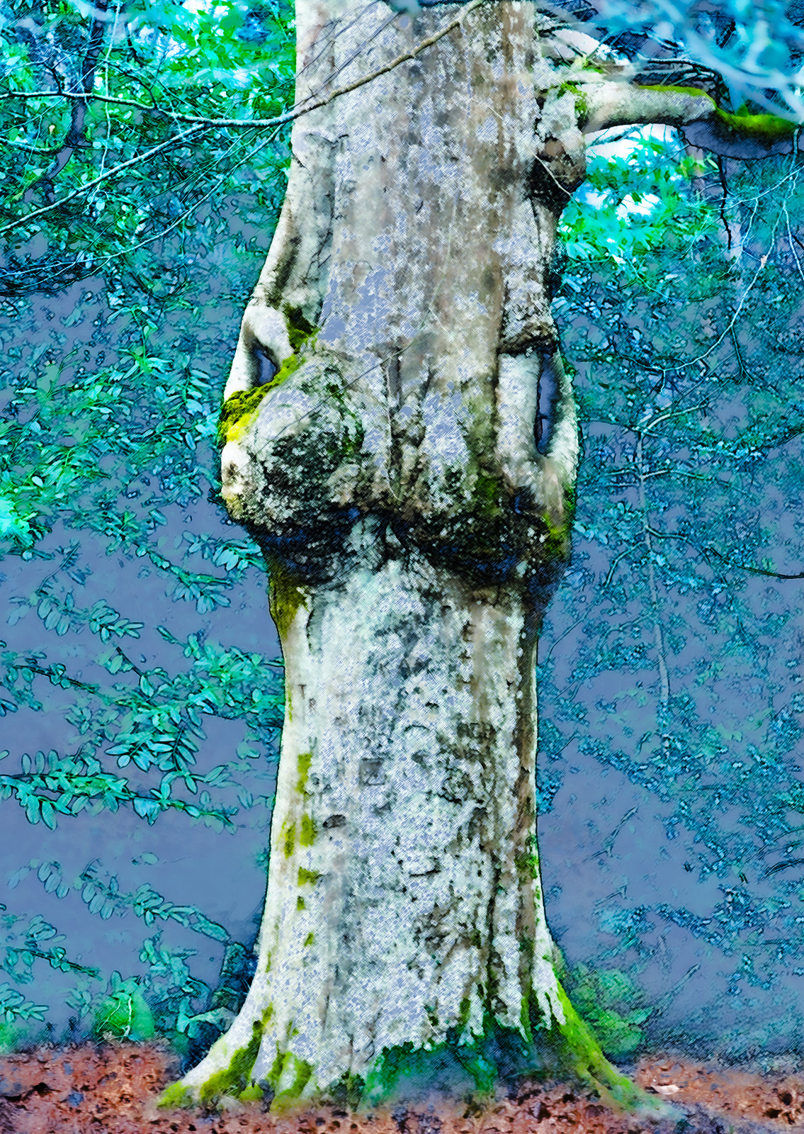 Beech Bunny, Stover Park, Devon
