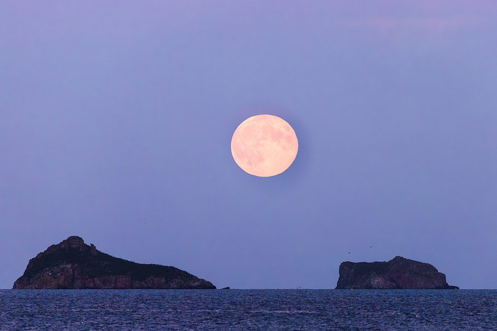 15 Oct 24 Supermoon (3) between the Orestone & Thatcher Rock, Torquay