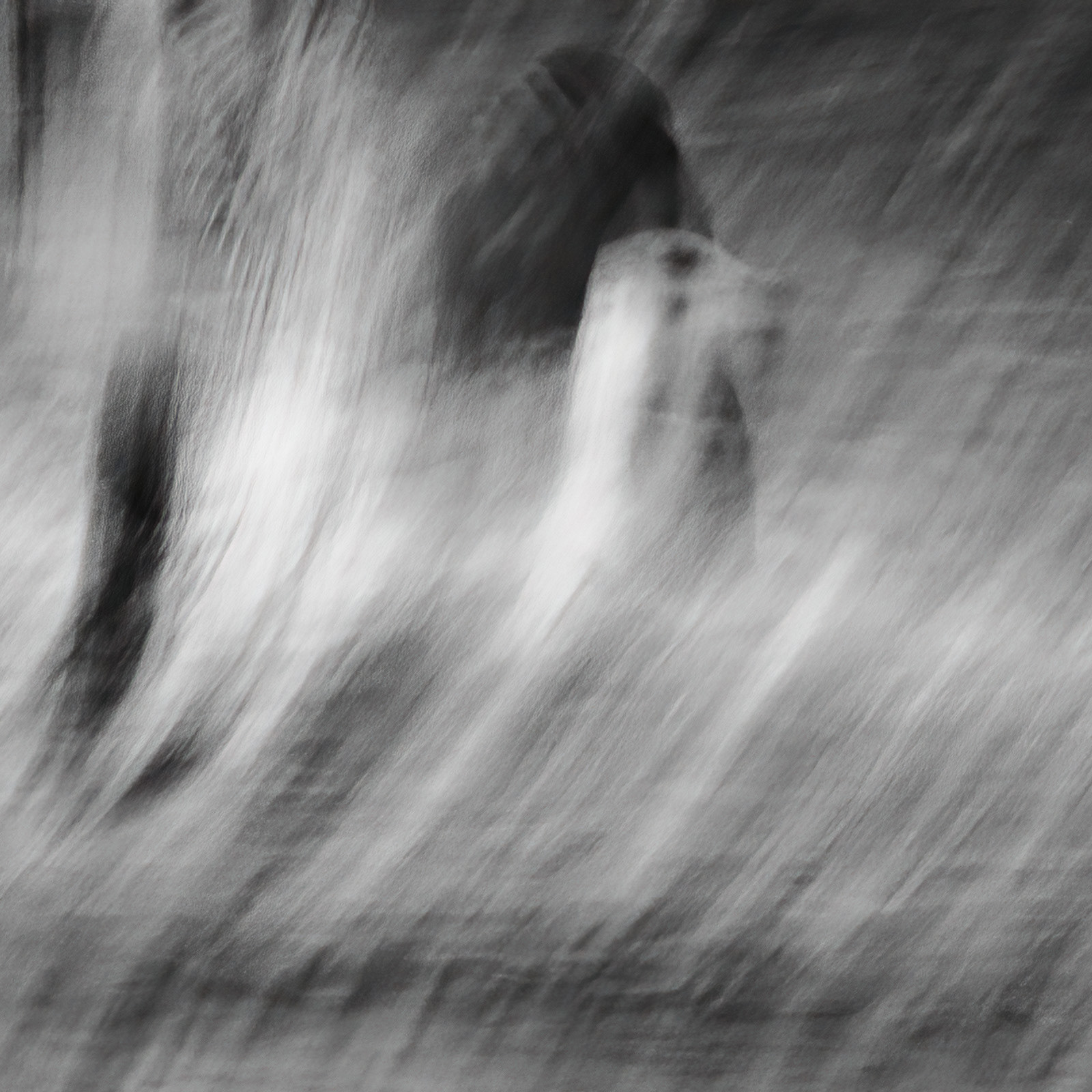 5 Oct 24 Gull in Turmoil