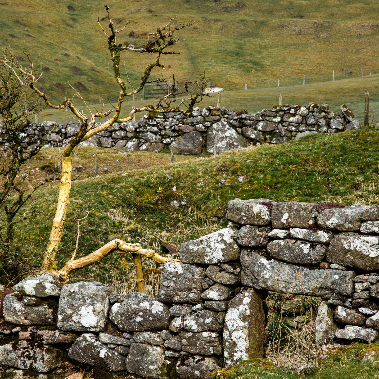 28th March 22 - A walk in the Challacombe Valley