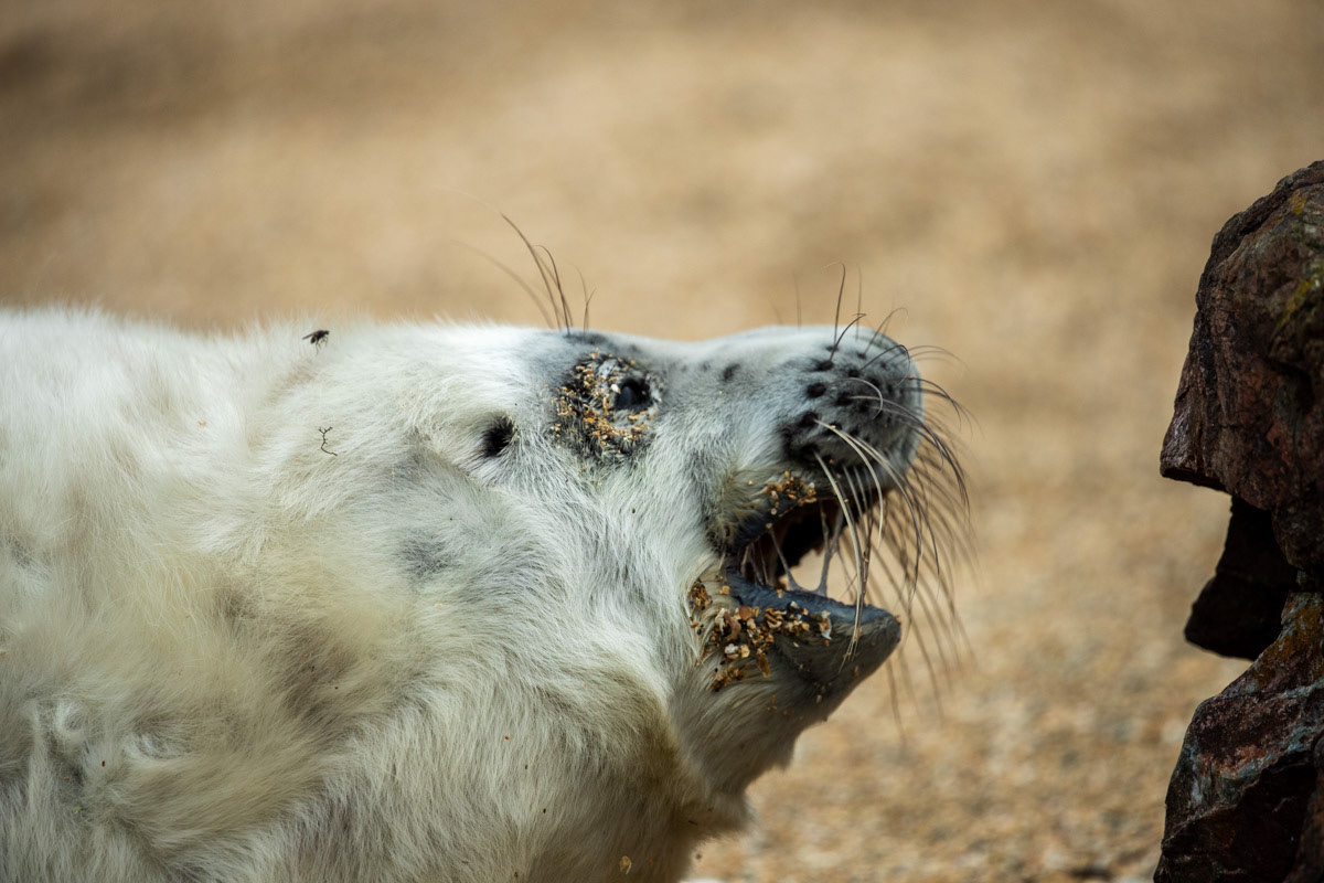 12th Oct: Image 1: Getting ready for rest on Tuesday afternoon
