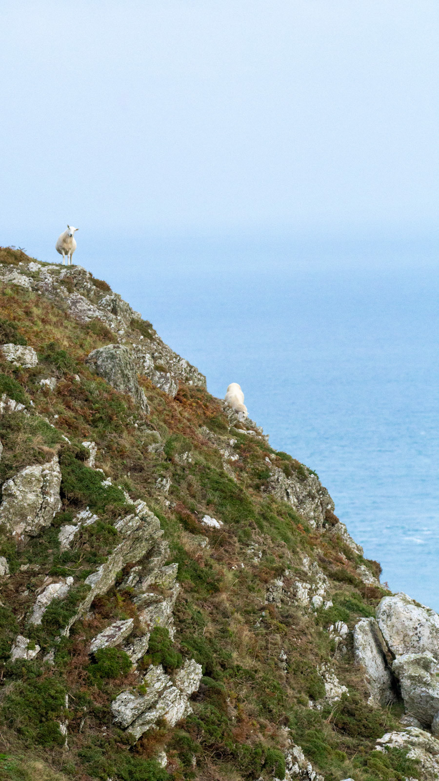 11th Oct: Life on the Edge