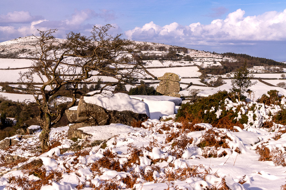 24 Nov 2024: Bowerman's Nose, Hayne Down, Dartmoor