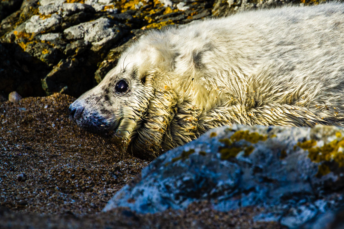 10th Oct: Well fed and keeping quiet