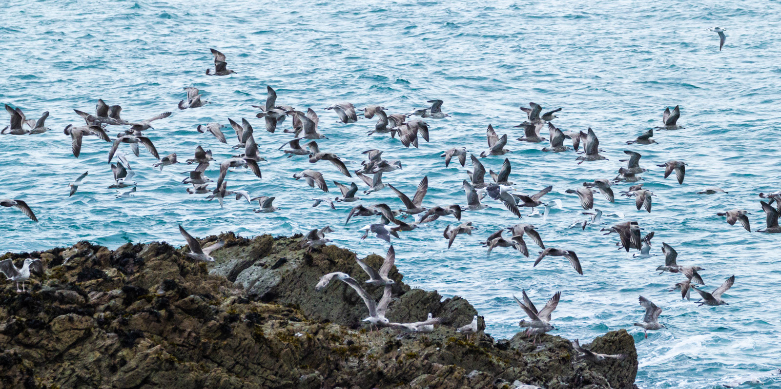 9th Oct: Ogof Lladron
