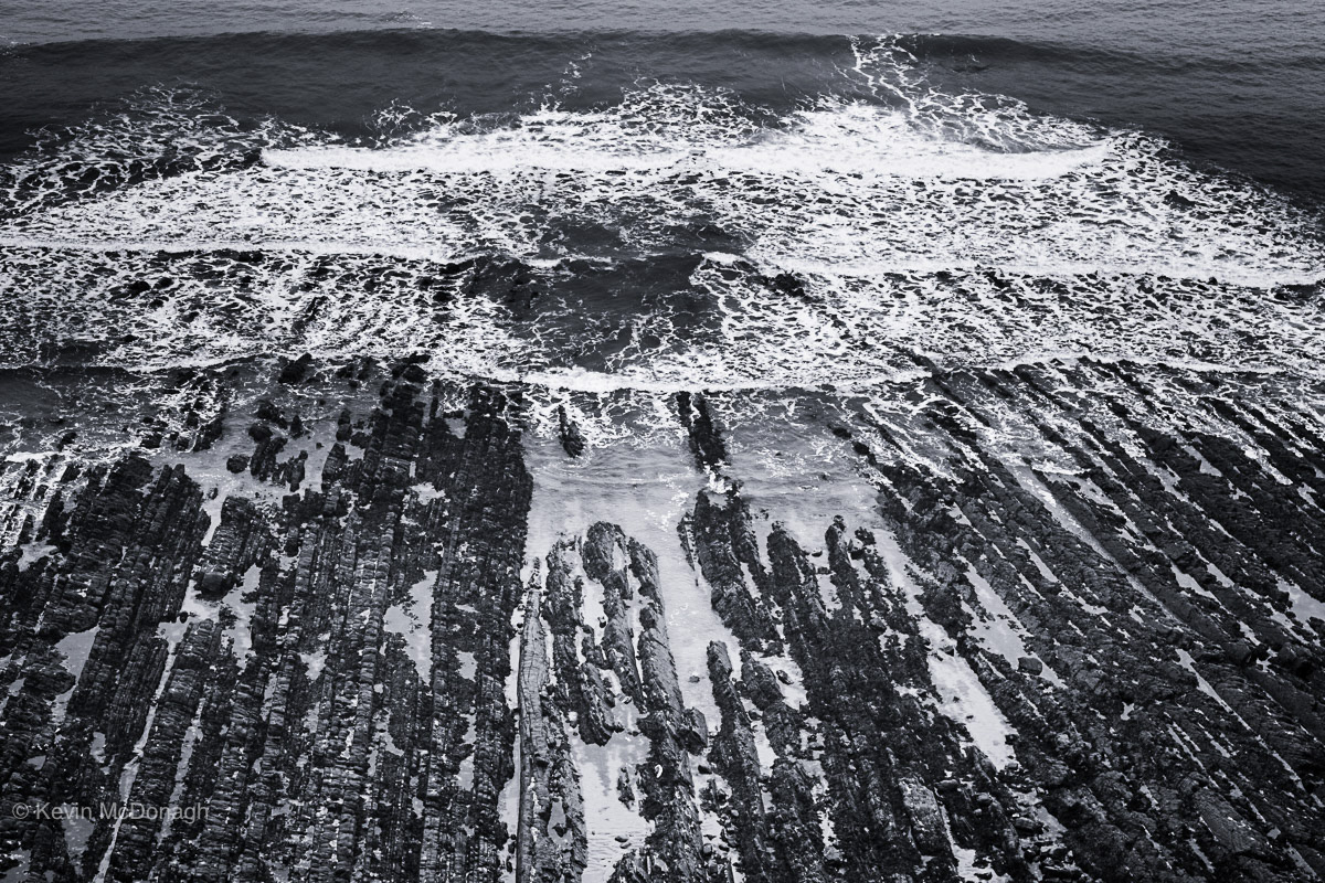 10th June 21: Coastal forms