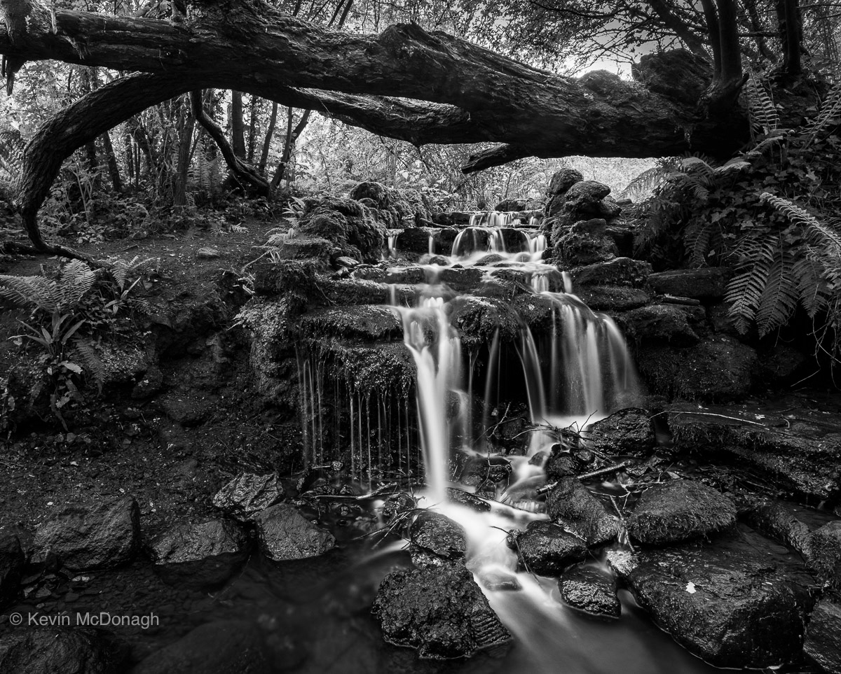 Waterfall, Combe Valley, Teignmouth 