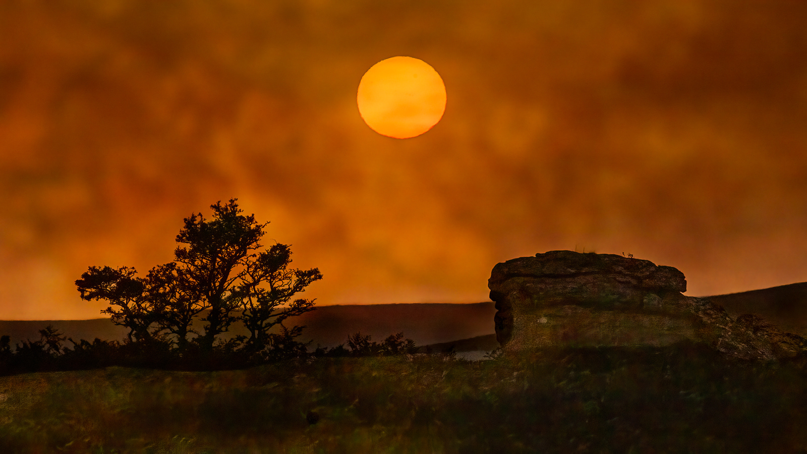 Sunset over the Lone Tree, Emsworthy Rocks, Dartmoor