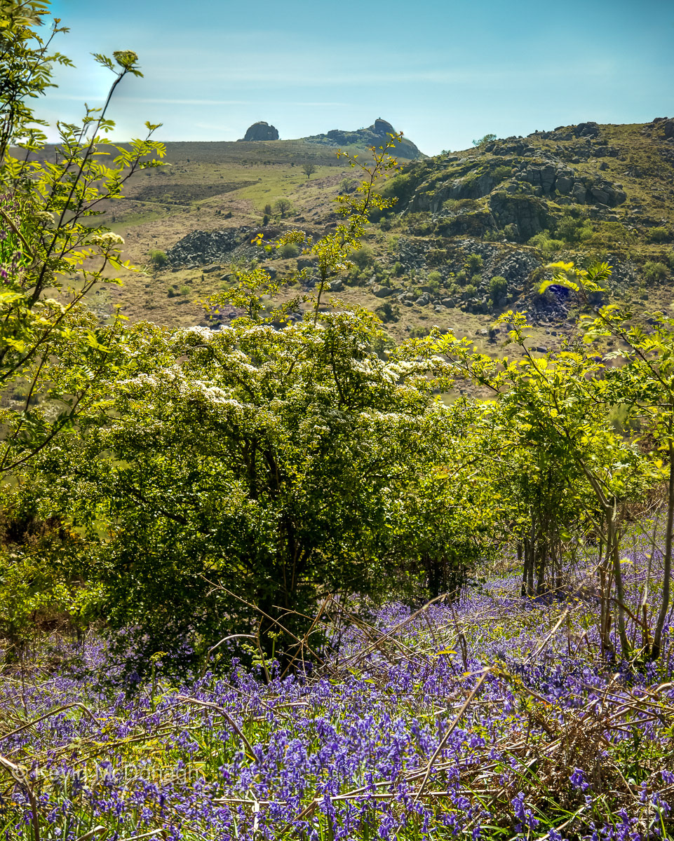 1st June 21: Haytor Rocks