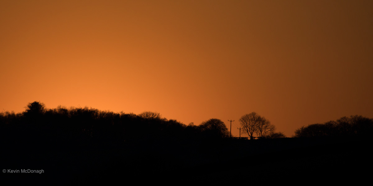 Across the valley from my front window, Teignmouth, Devon