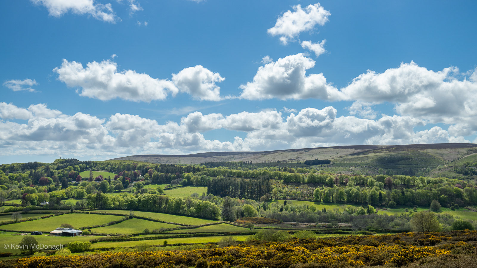 22 May 21: View from Easdon Tor, Dartmoor