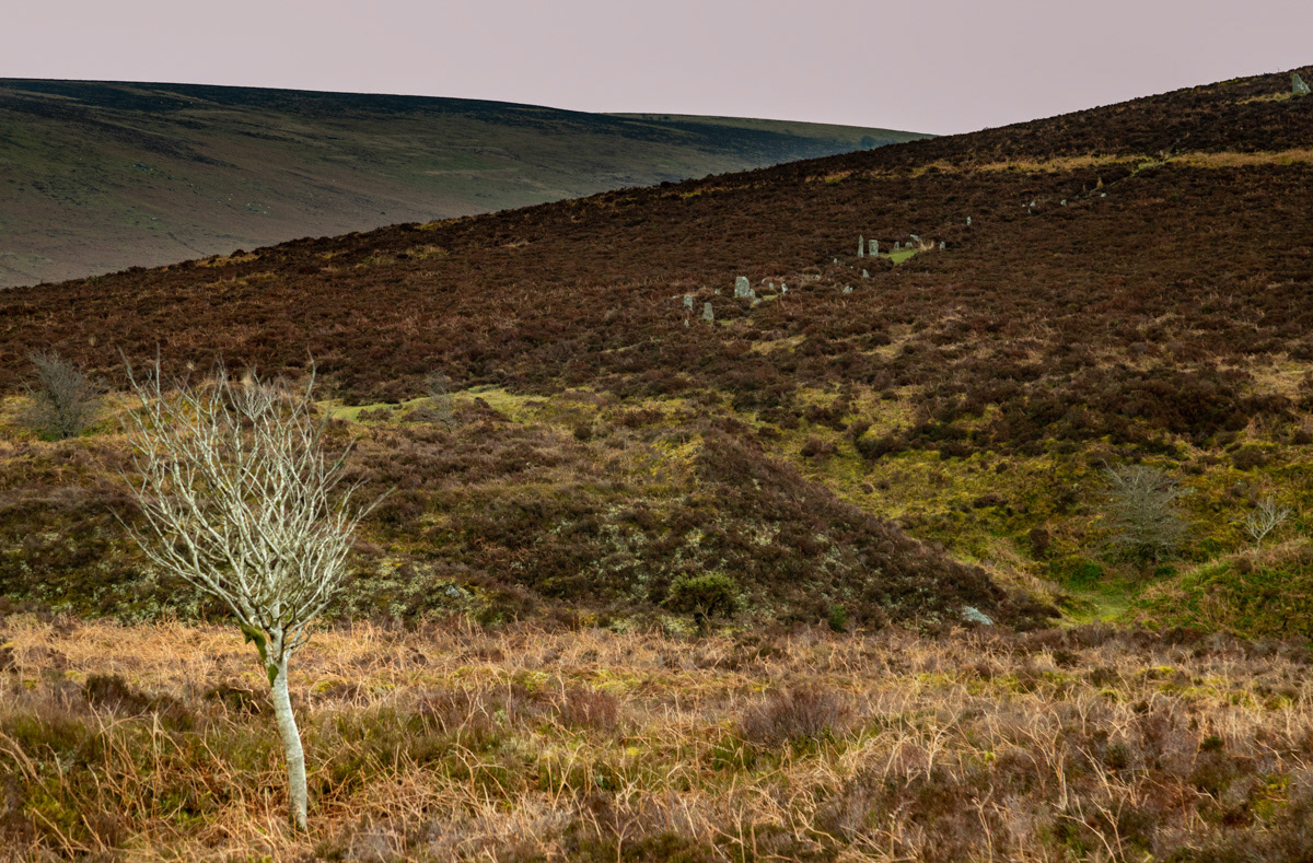 Triple Stone Row near Birch Tor