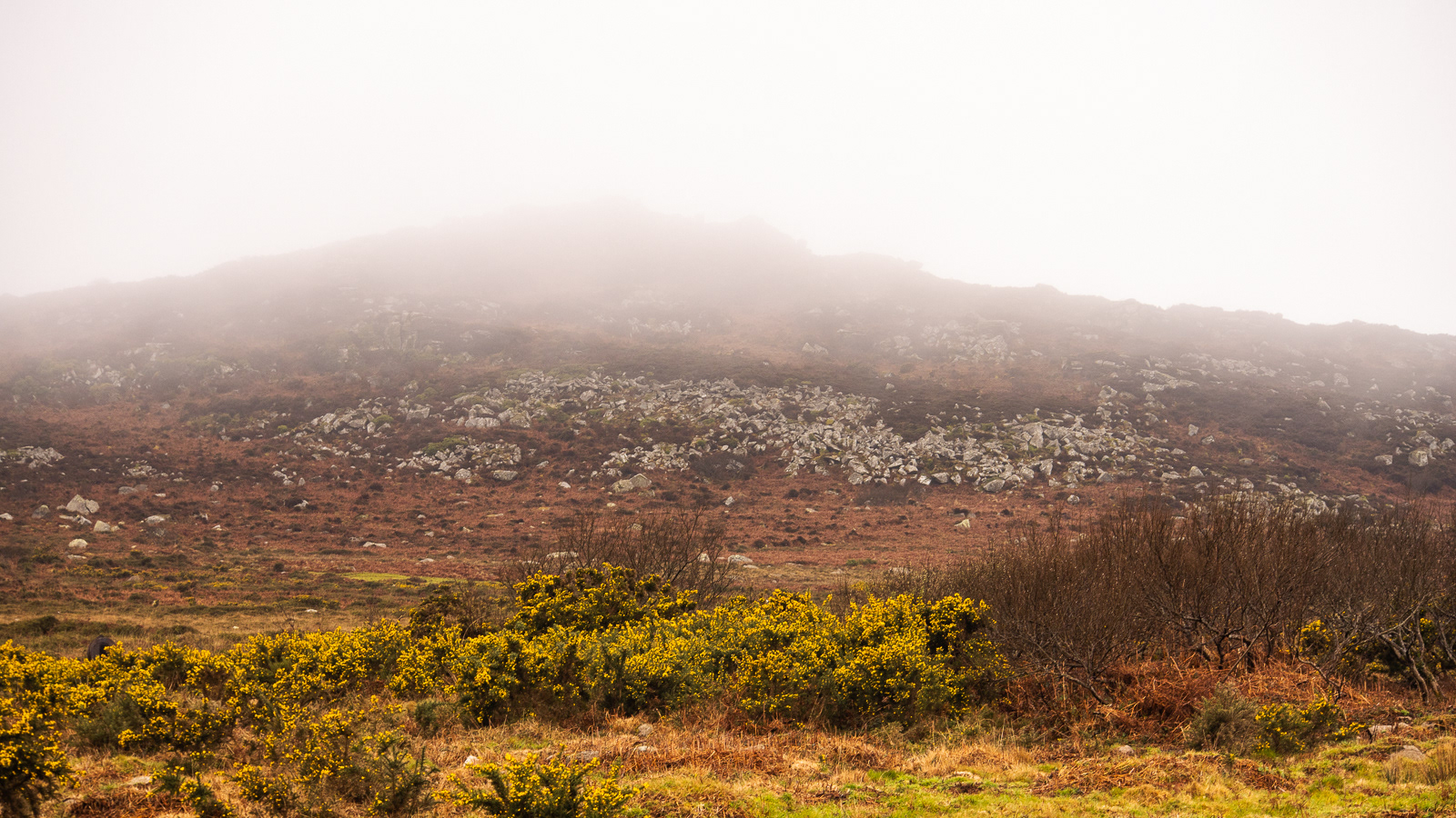 6 Mar 24 - White Downs, Porthmeor, Cornwall