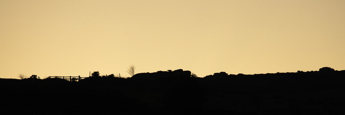 17 Jan 22: Evening light over Holwell Lawn just after sunset