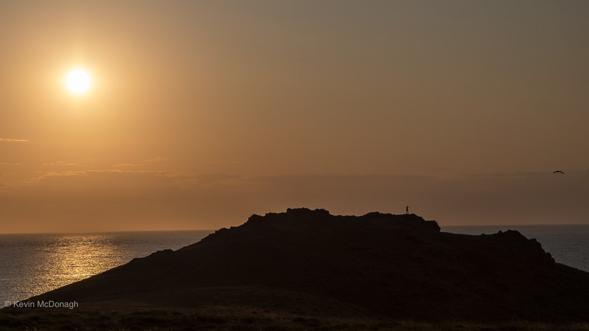 Skomer Island, Pembrokeshire, Wales