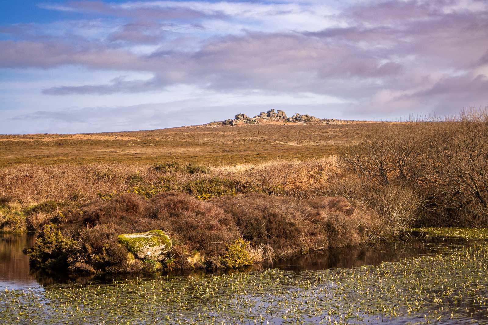 5 Mar 24 - Wheal Bal Hill