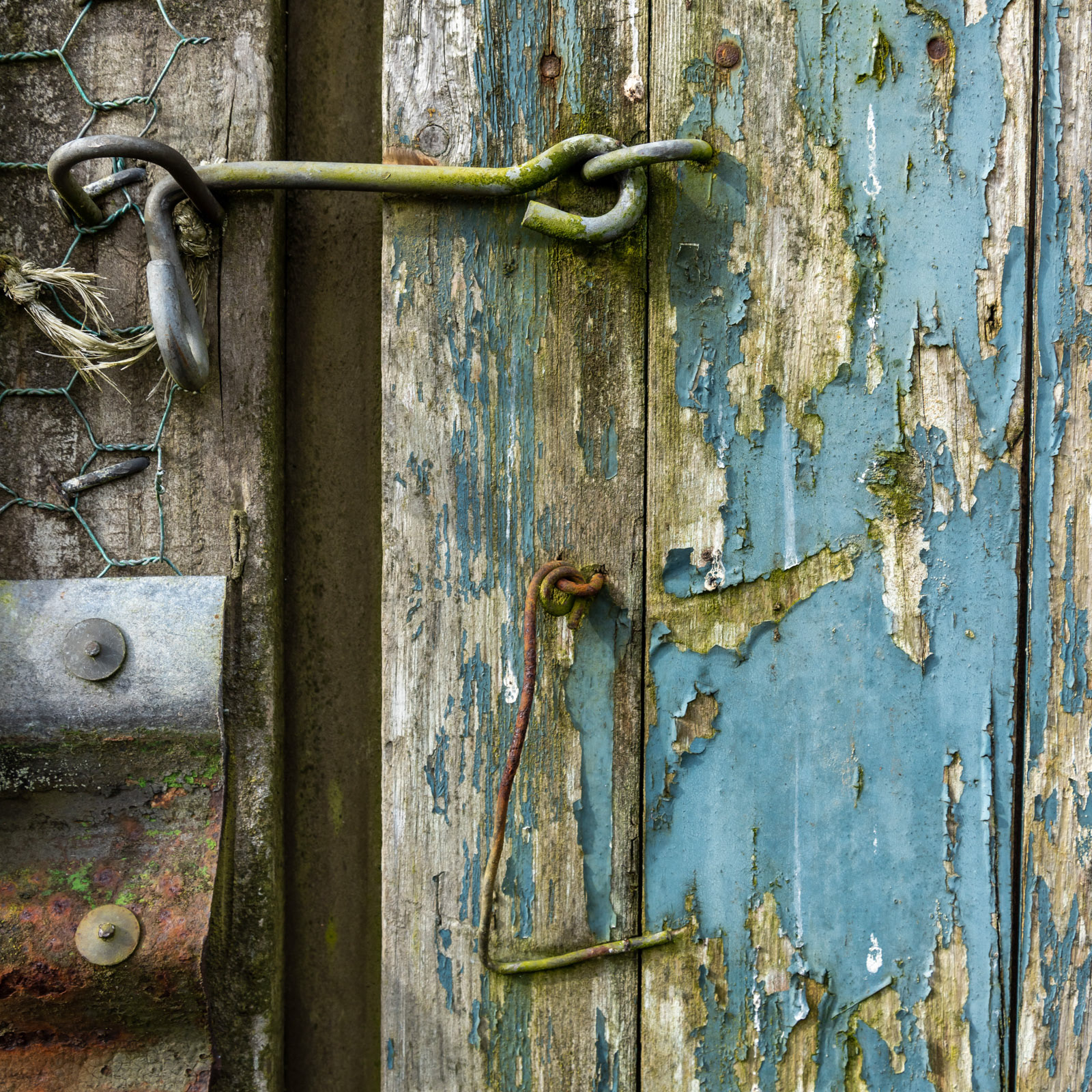 28th March 22: old & Weathered