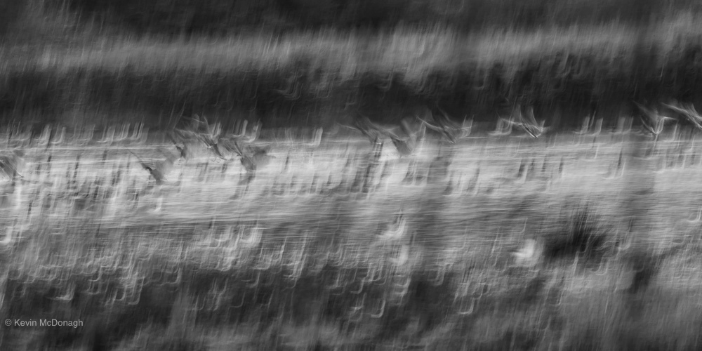 Early morning on the Exe Estuary