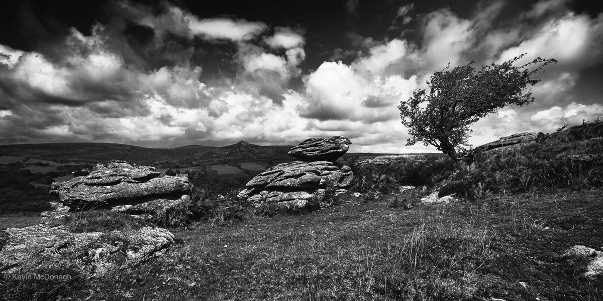 Hollwell Rocks and Hawthorn, Dartmoor