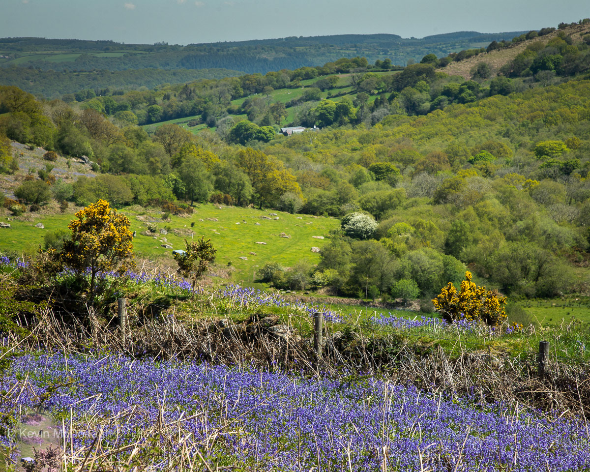 1st June 21: A view over the valley from Holwell Lawn