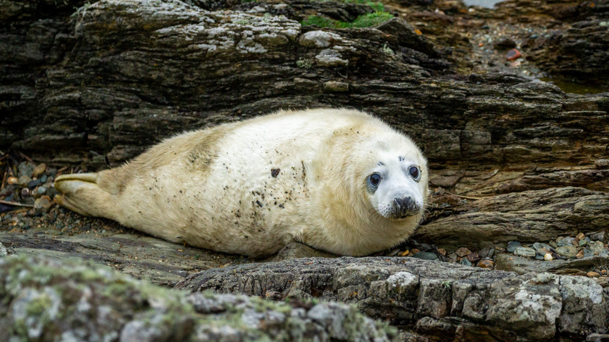 9th Oct: Waiting for mum
