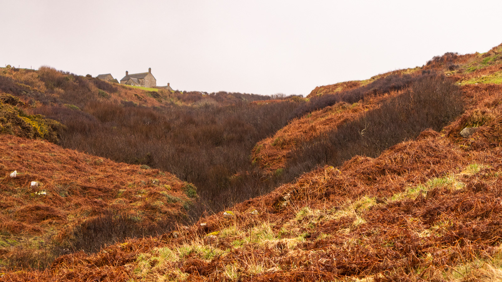 6 Mar 24 - Porthmeor Beach, Cornwall
