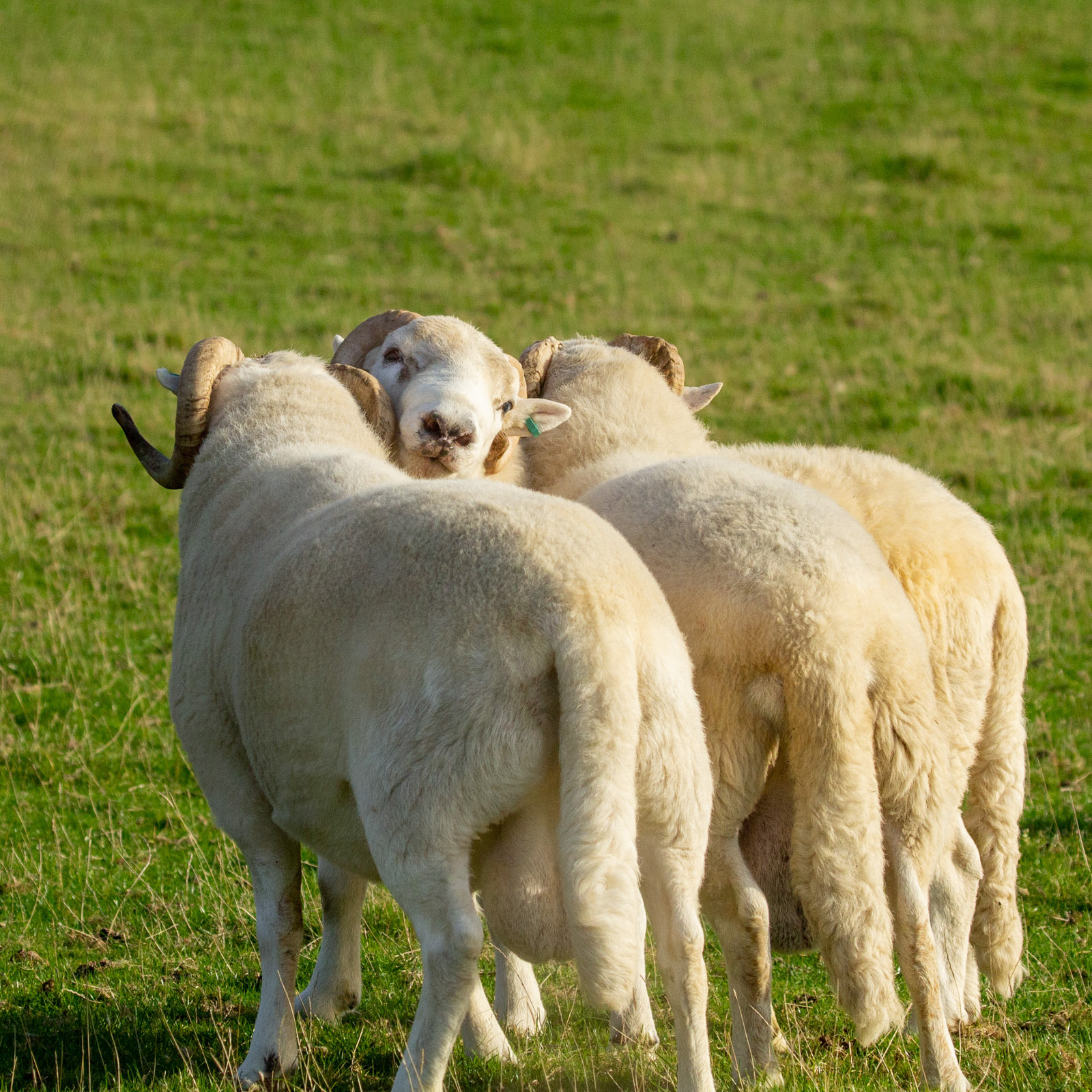 10th Oct: Pushy Teenagers