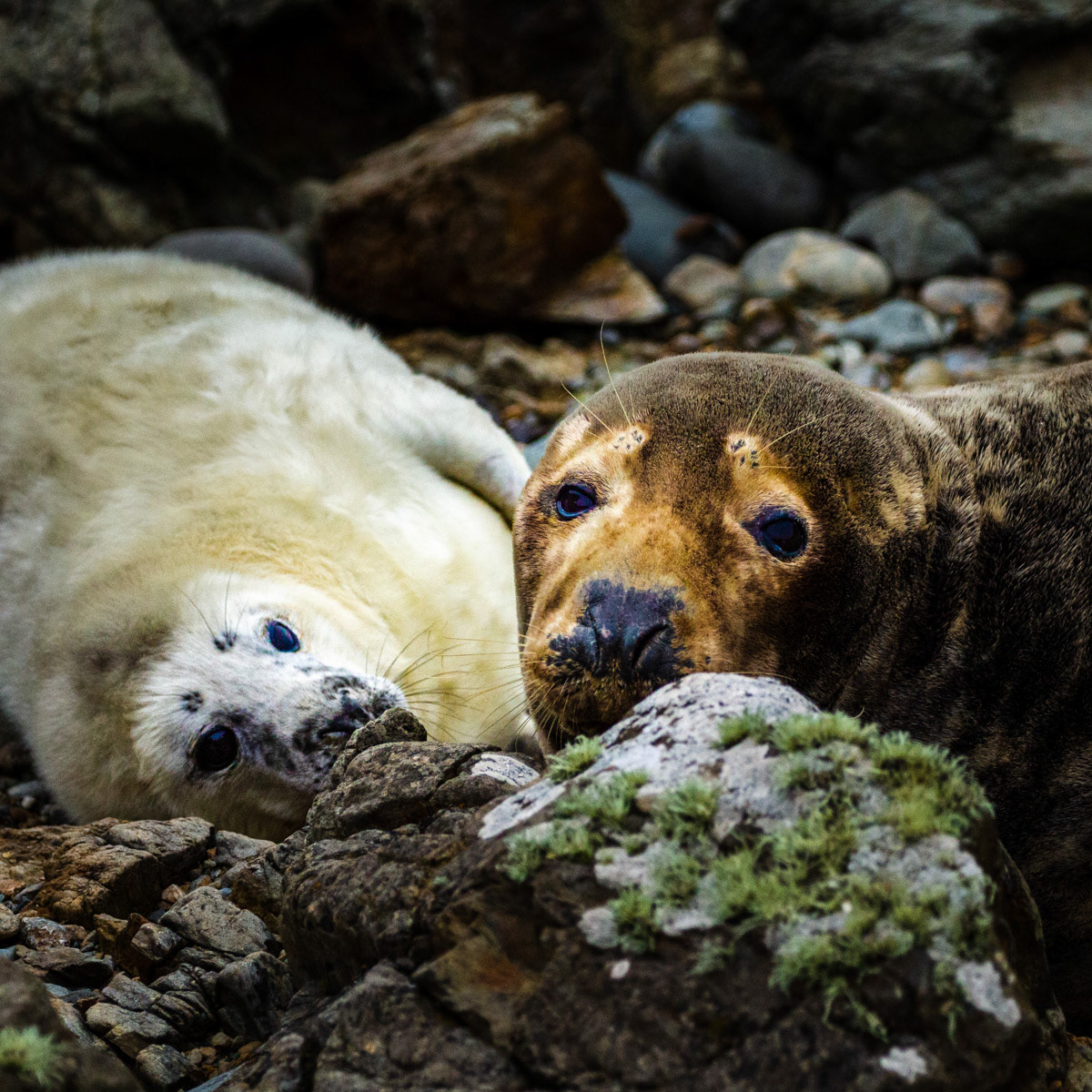 9th Oct: Mother and Child