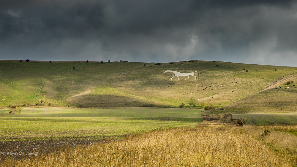 White Horse at Alton Barnes 