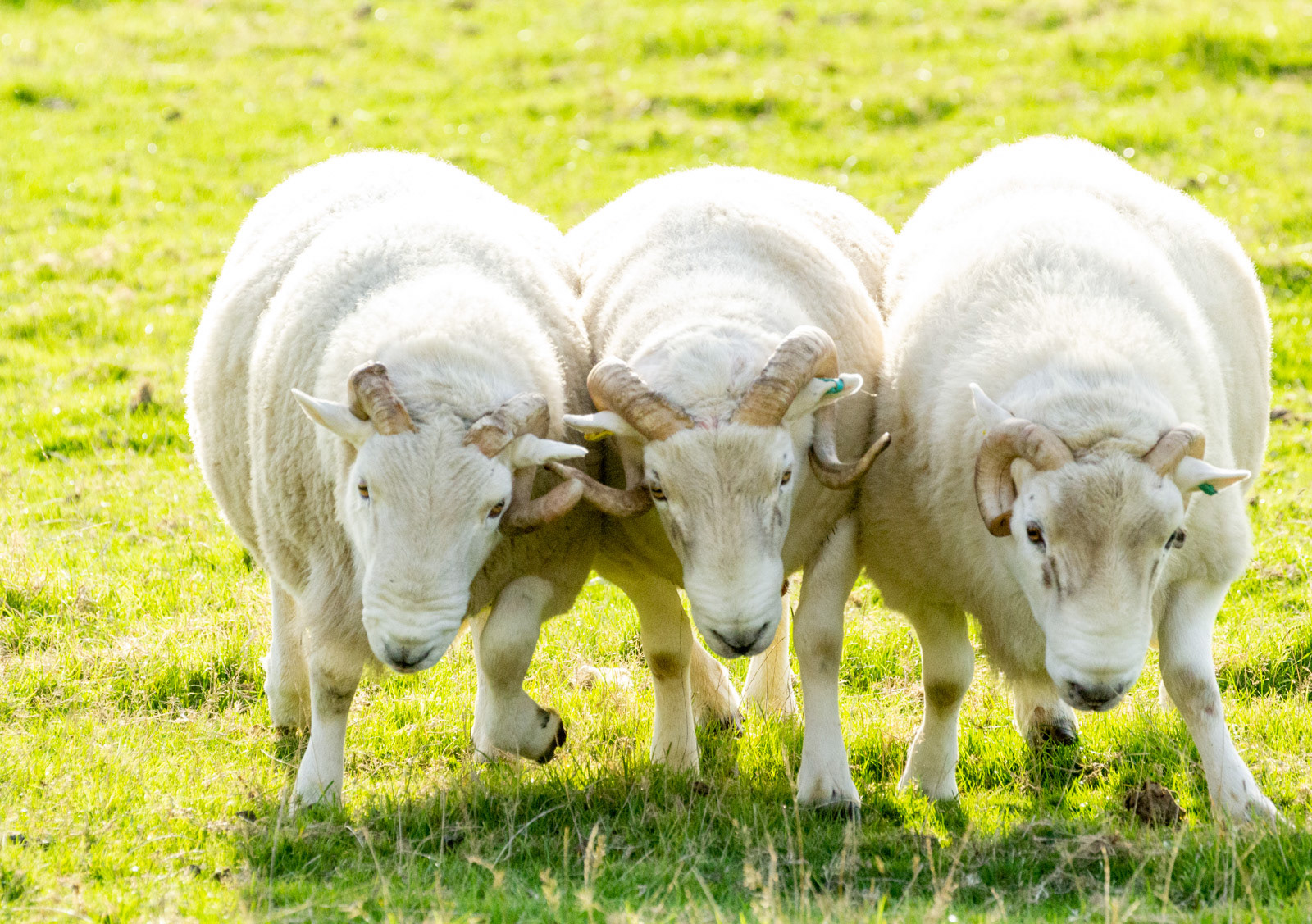 10th Oct: Pushy Teenagers