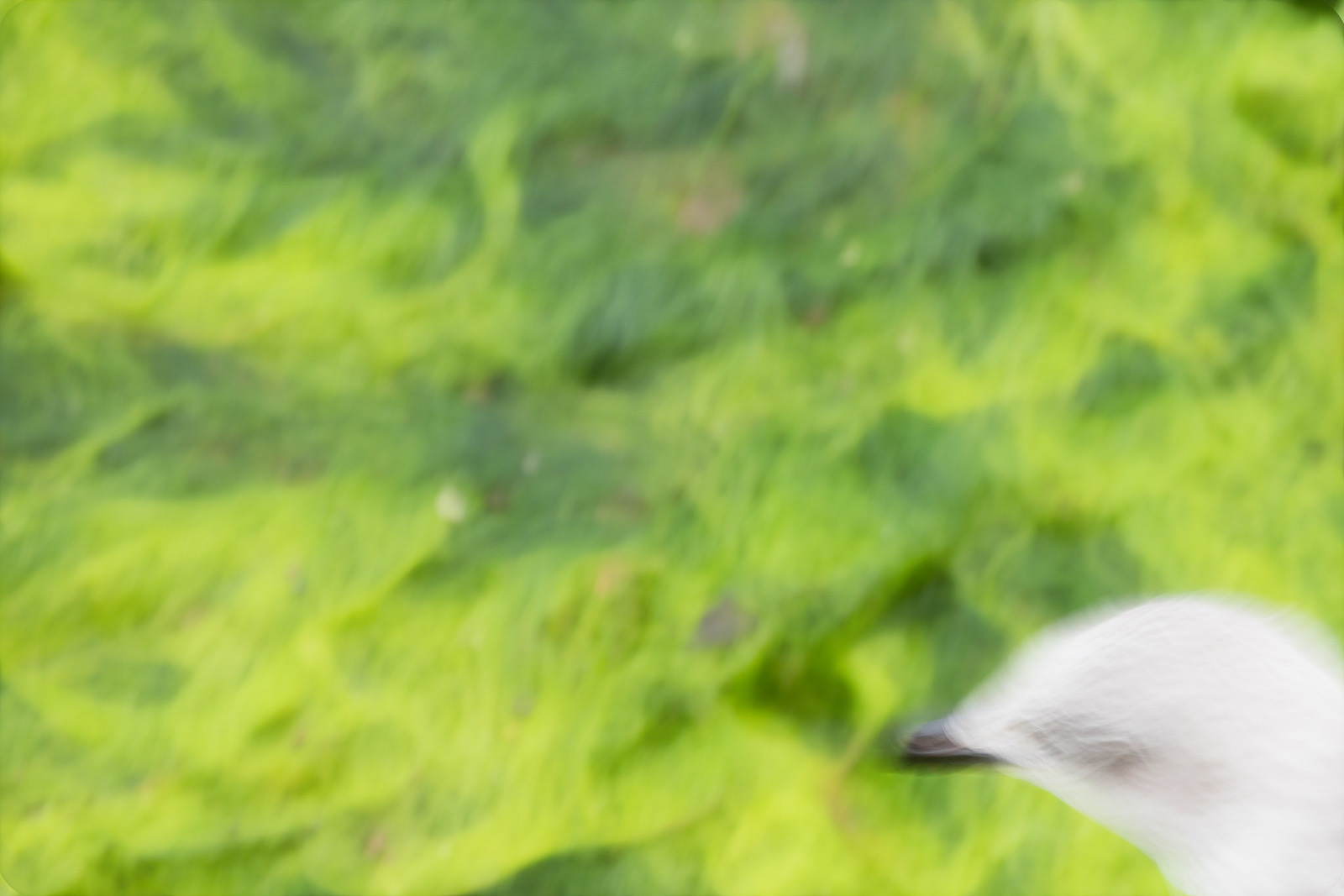 12 Aug 20 Looking In