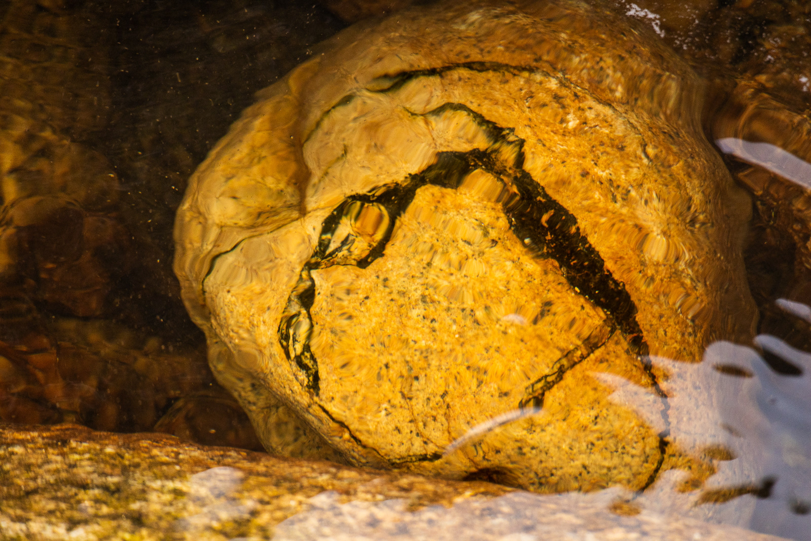 6 Mar 24 - Porthmeor Beach, Cornwall