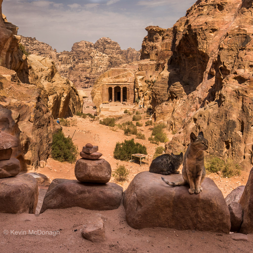 Sentinels at the Tomb