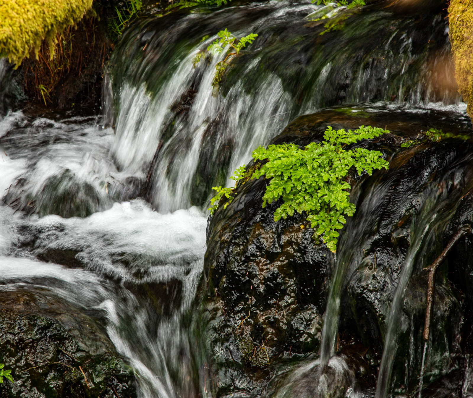 28th March 22: Life amongst turbulence