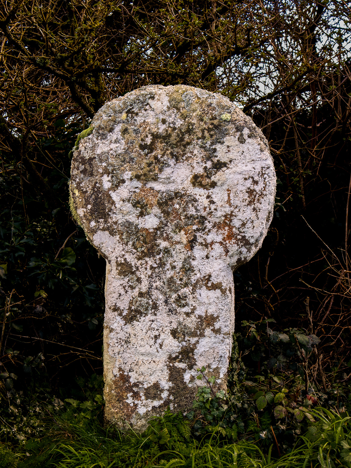 2 Mar 24 - Cornish Celtic Cross