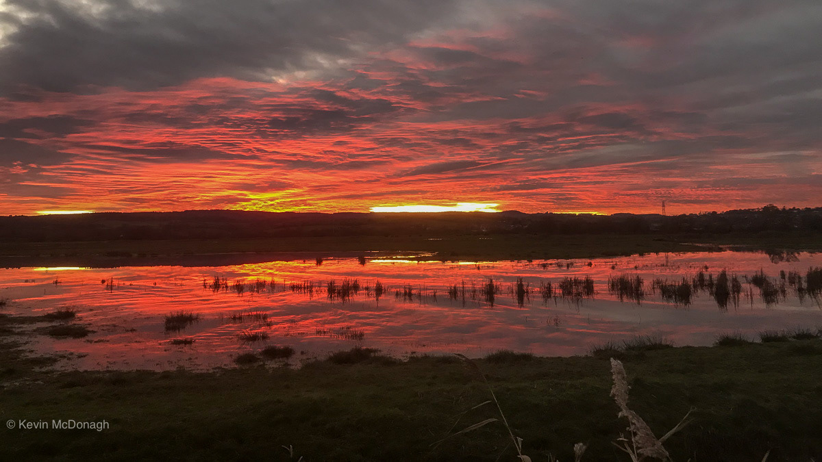 RSPB, Exminster Marshes, Nature Reserve