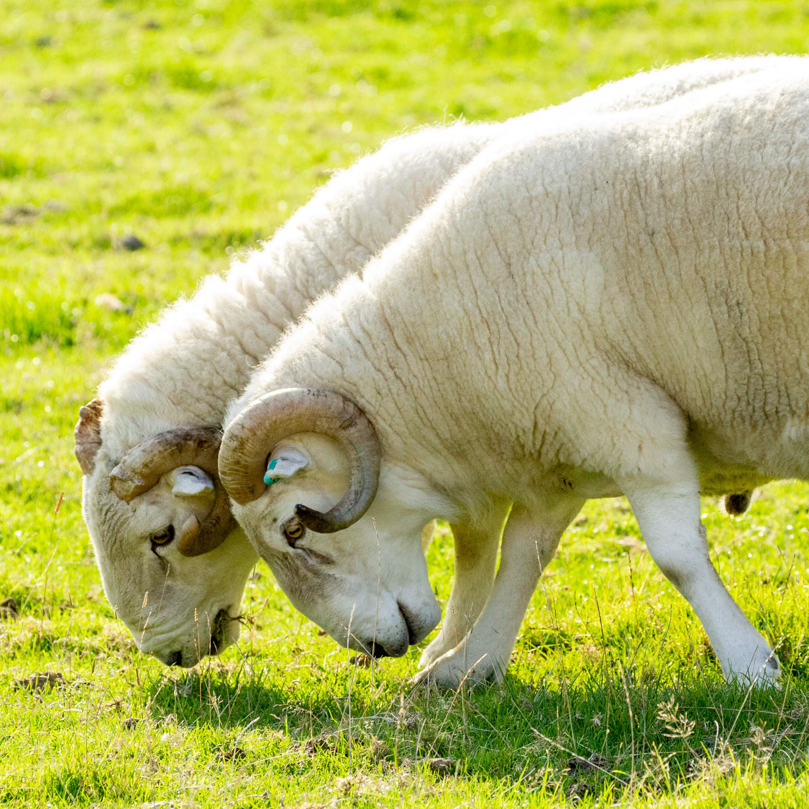 10th Oct: Pushy Teenagers