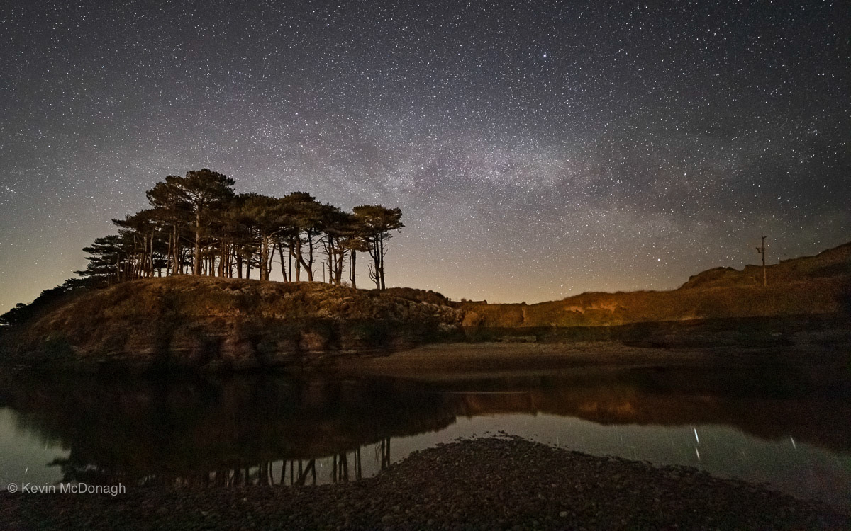 16 April 21: North section of the Milky Way and Pine Trees, Budleigh Salterton