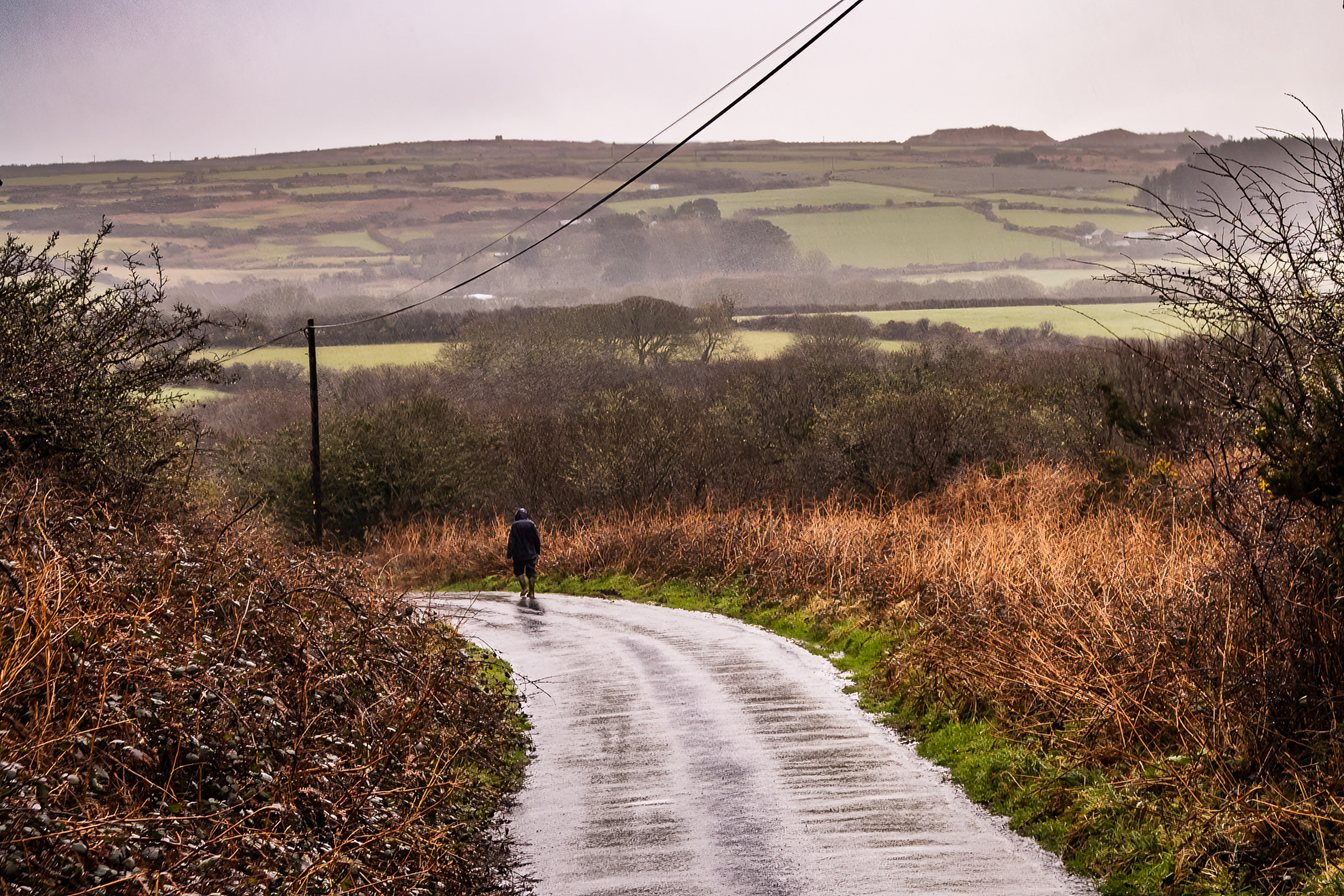 3 Mar 24 - Enjoying the Cornish rain