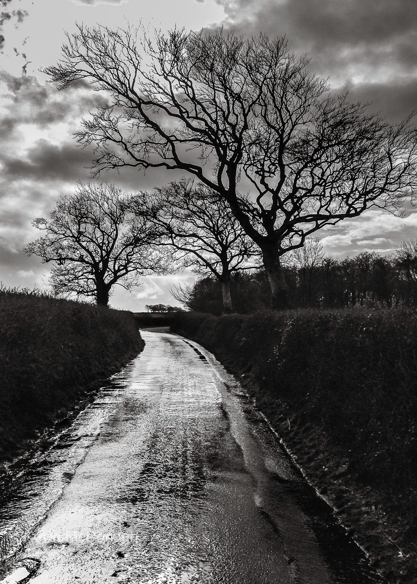 4 March 2016: Devon Lane