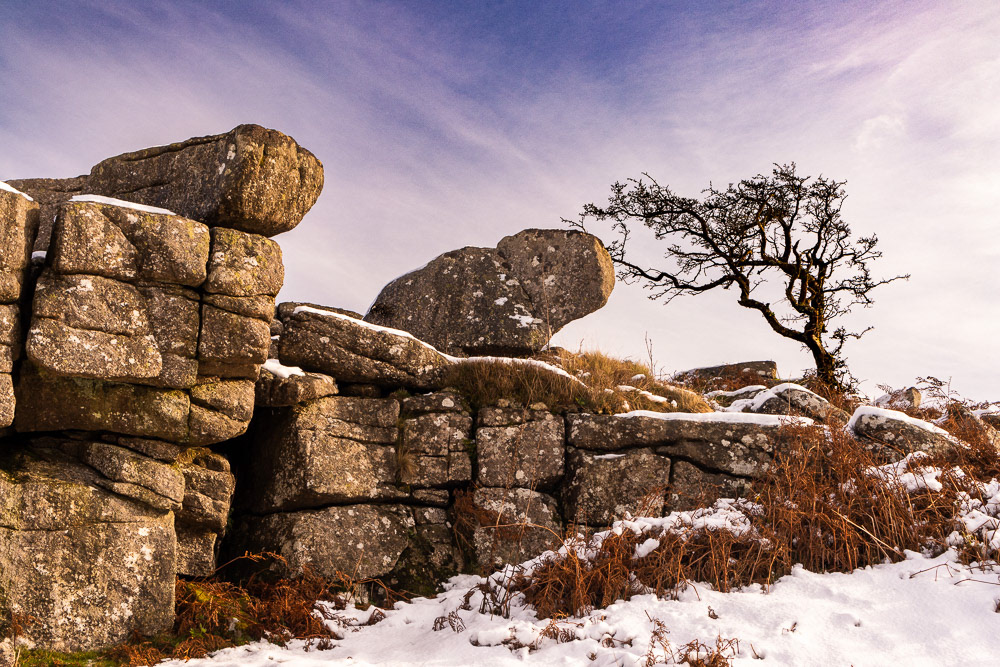 24 Nov 2024: Hayne Down, Dartmoor