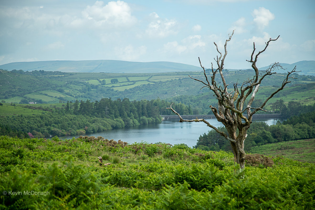 3.7.21 Venford Resevoir