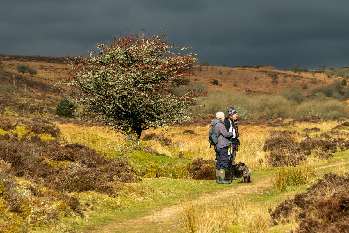 Dartmoor's moody skies