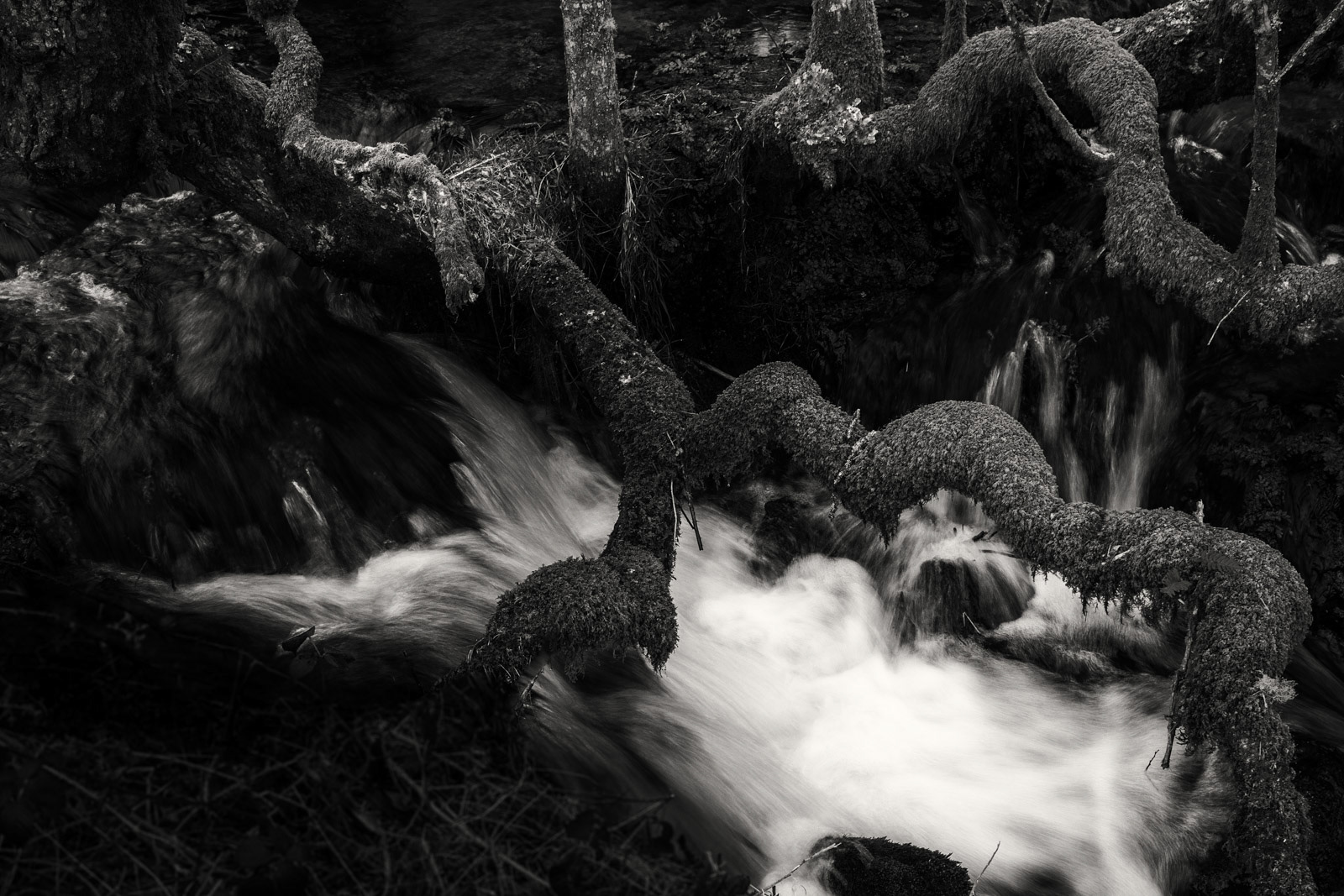 28th March 22: Waterfall under the Tree