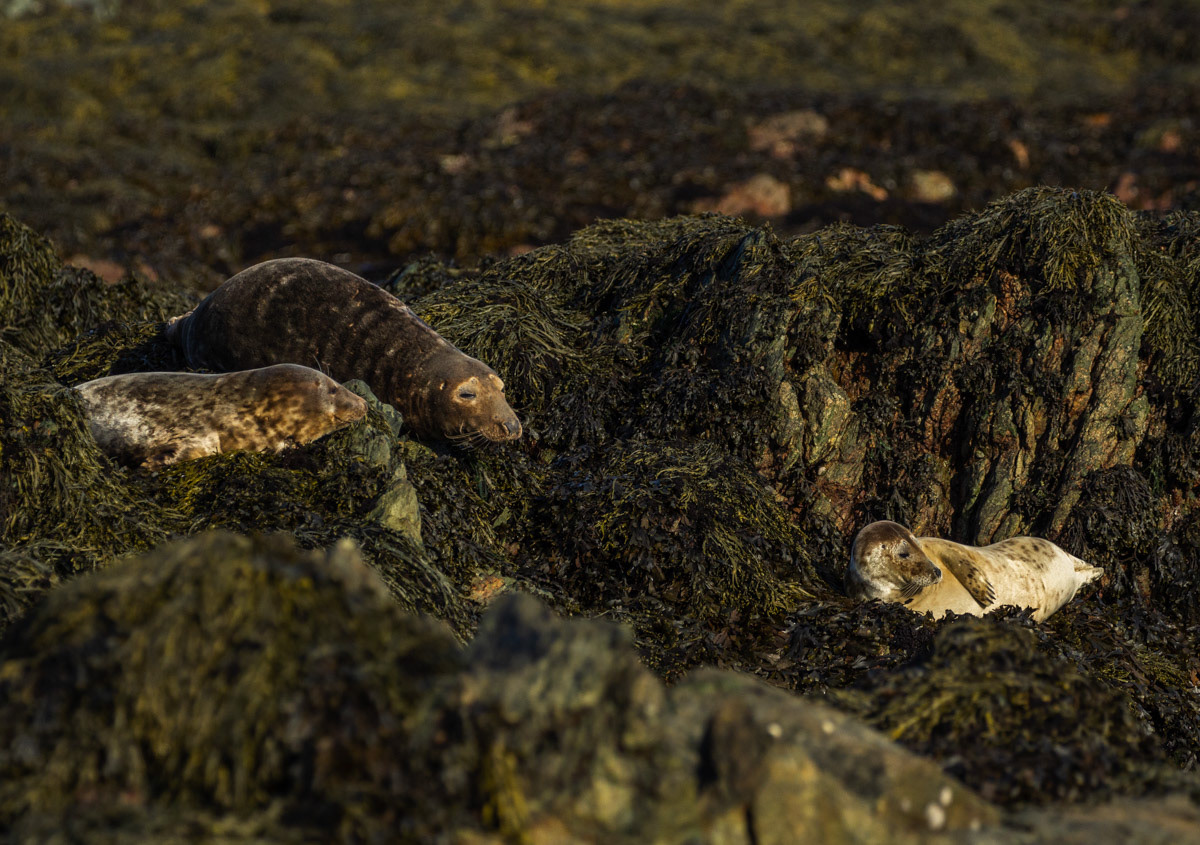 10th Oct: Caring Mum