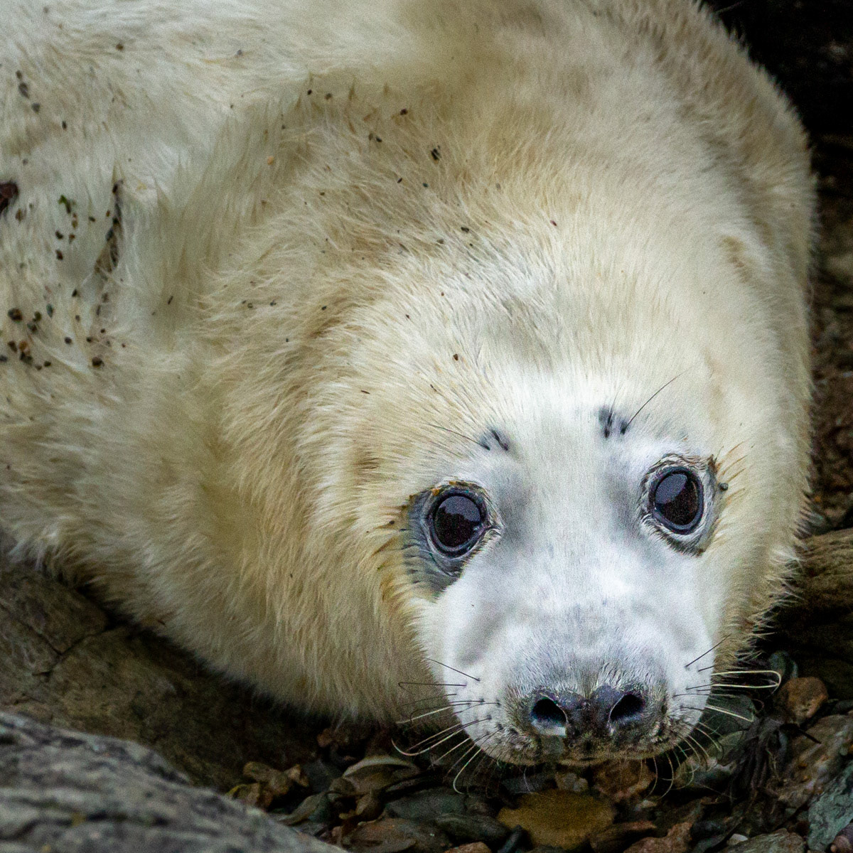 9th Oct: Contentment