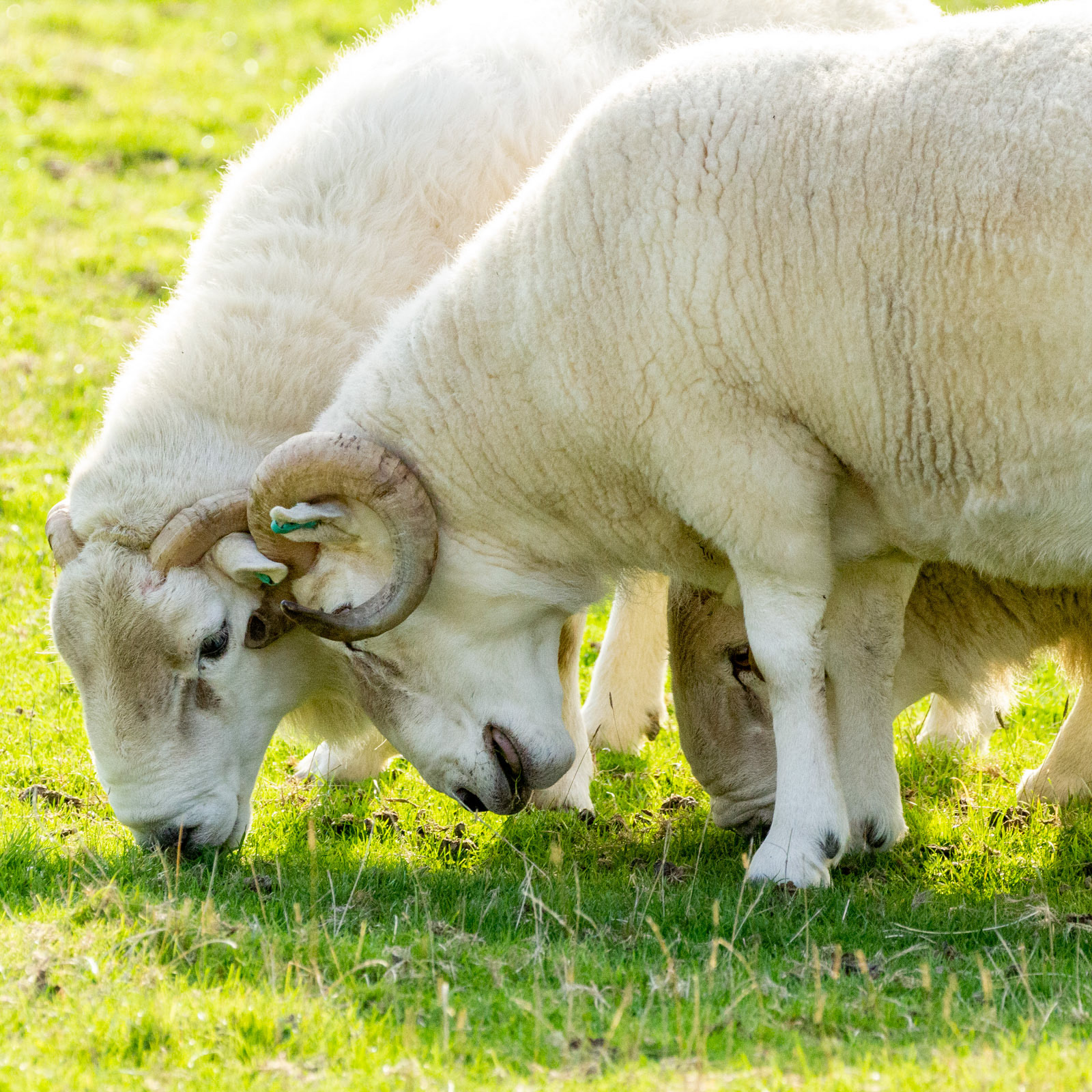 10th Oct: Pushy Teenagers