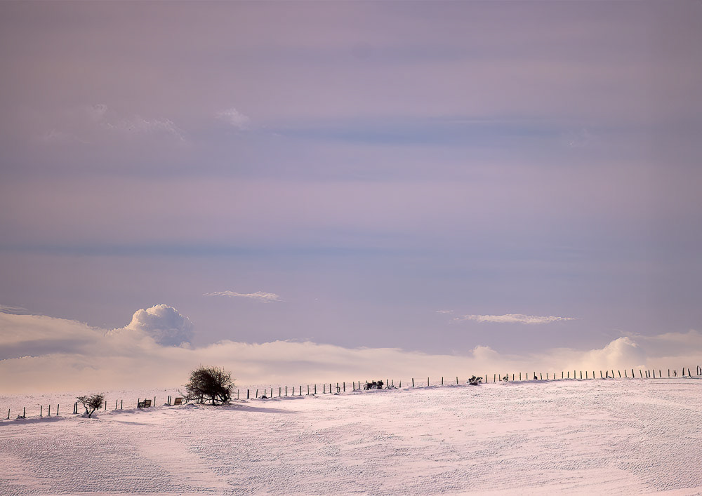 24 Nov 2024: View to Hedge down from Houndtor