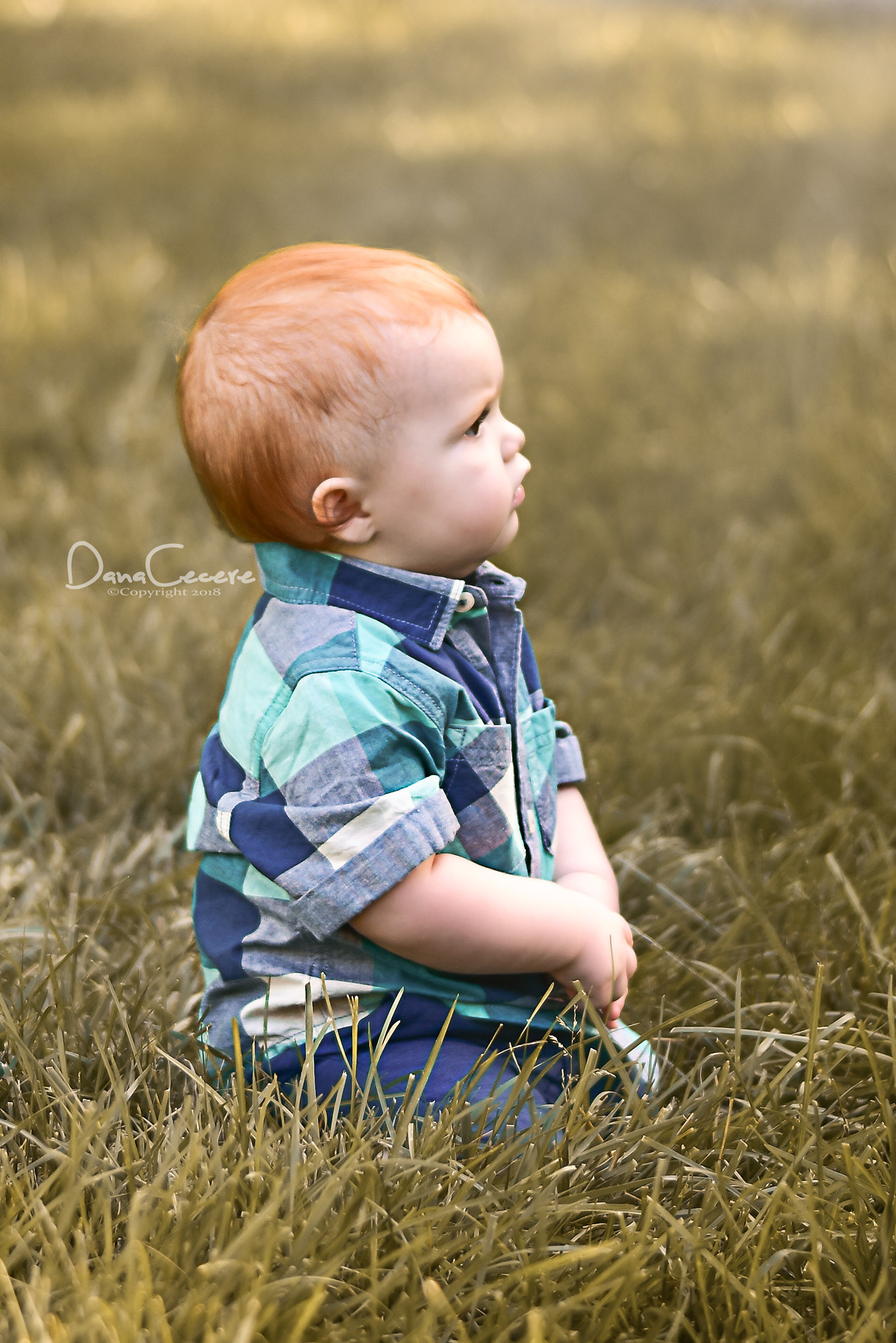 Colton 2018